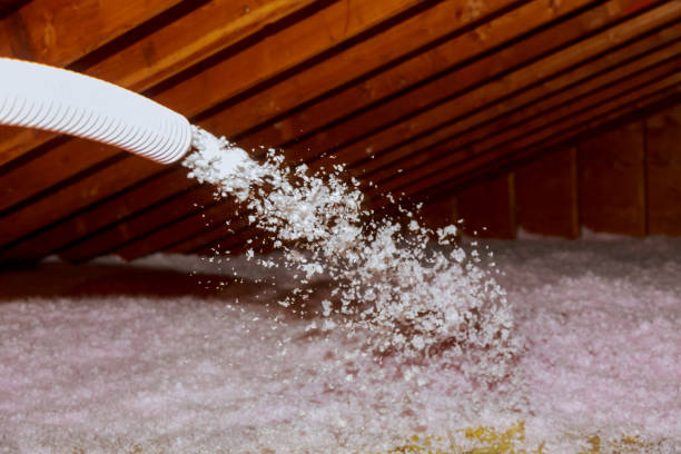 Best Commercial Insulation in Honeygo, MD