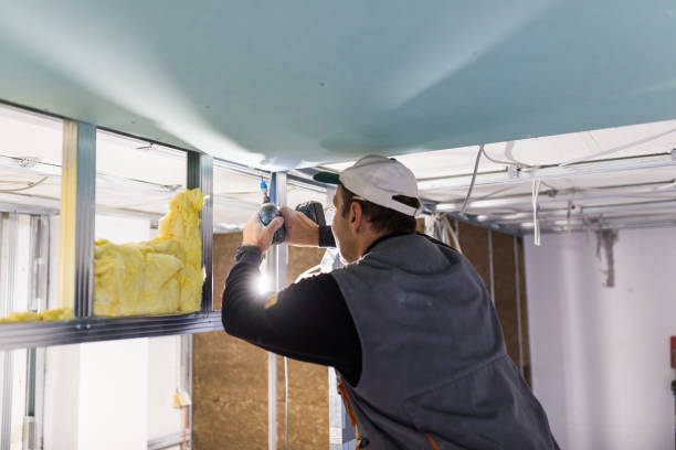 Best Commercial Insulation in Honeygo, MD