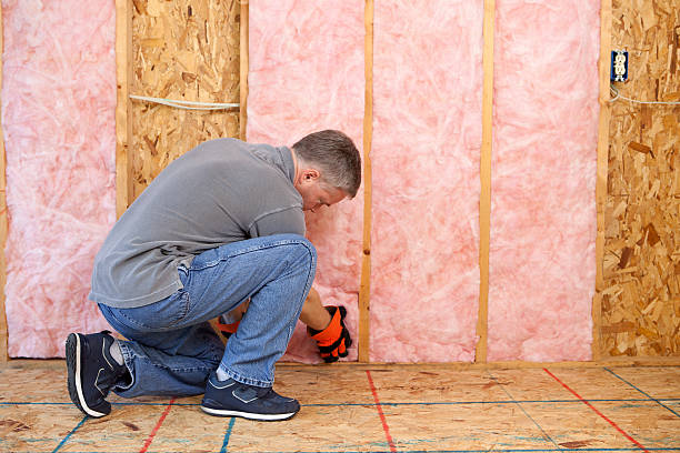 Best Insulation Installation Services in Honeygo, MD