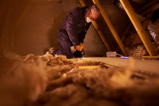 Best Residential Insulation in Honeygo, MD